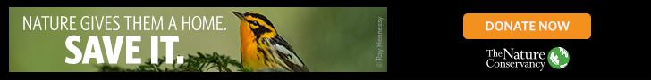 The Nature Conservancy (PSA)